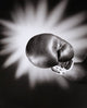 Close-up boxing glove poster print showcasing detailed craftsmanship.