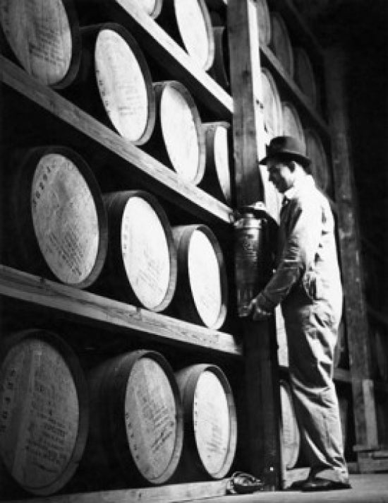 Side profile of a male worker in a whisky storage room standing in front of barrels