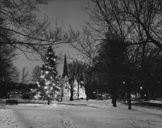 Decorated Christmas tree on snow-covered landscape in Bedford Village, New York.