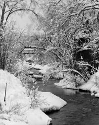 Stream Flowing Through a Forest Poster Print showcasing serene nature.