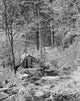 Hut in a Forest Poster Print - Serene nature artwork showcasing a cozy hut surrounded by trees.