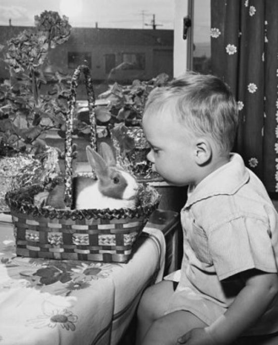 Side Profile of a Boy Sitting Near an Easter Basket Poster Print
