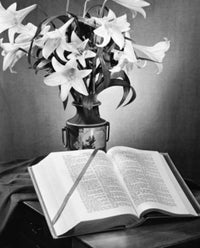 Easter Lilies in a Vase Poster Print showcasing vibrant flowers