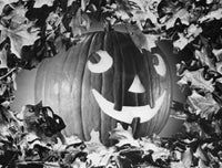 Close-up of an illuminated jack o' lantern poster print