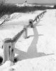 Fence on Beach Poster Print showcasing a serene coastal scene.