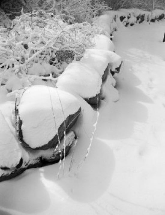 Snow Covered Stone Wall Poster Print showcasing winter beauty.