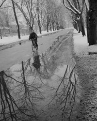 Poster print of a woman riding a bicycle past a puddle