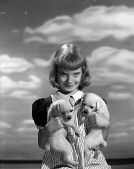 Poster of a girl holding two puppies, showcasing joy and companionship.