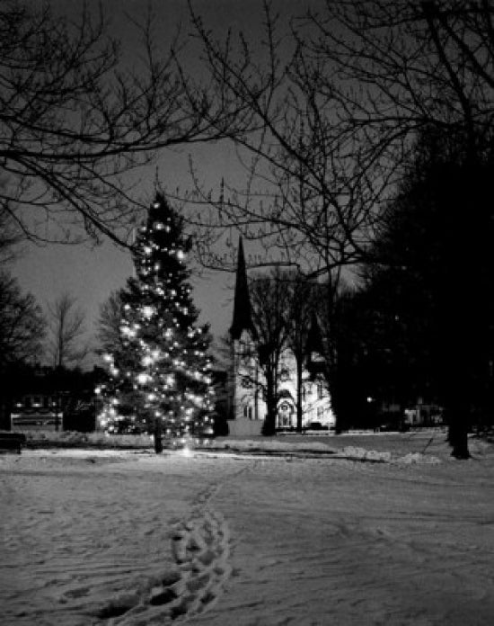 Christmas Tree in Winter Landscape Poster Print showcasing a serene snowy scene.