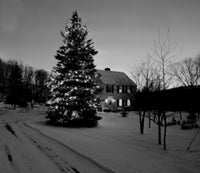 Christmas Tree in Winter Landscape Poster Print showcasing a festive scene.