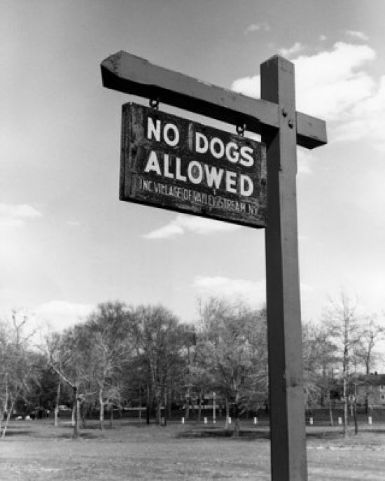 No Dogs Allowed in Park Poster Print - Low Angle View