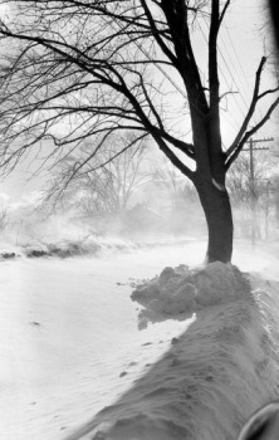Winter Landscape Poster Print showcasing serene snowy scenery