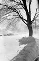 Winter Landscape Poster Print showcasing serene snowy scenery