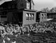 Chickens near hen houses poster print featuring rural Pennsylvania scenery.