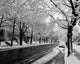 Empty Town Road in Winter Poster Print featuring a snowy landscape.