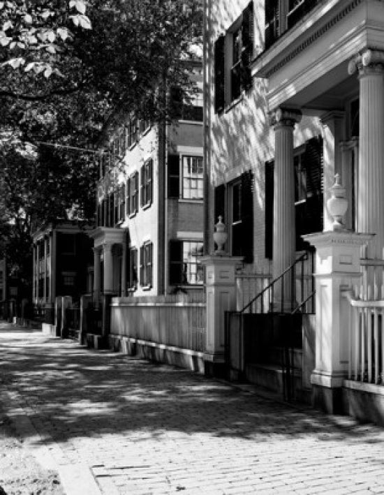 Chestnut Street poster print showcasing the charm of Salem, Massachusetts.