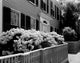 Nantucket building with flowers in front yard poster print