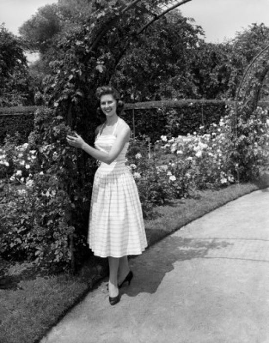 Young woman standing in a beautiful rose garden poster print.