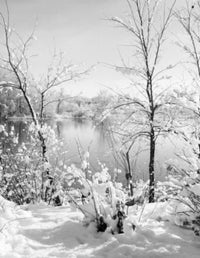 Lake in Winter Poster Print featuring serene landscape art.