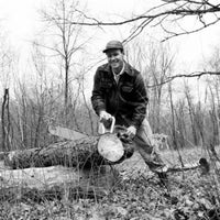 Man Sawing Tree Poster Print showcasing vibrant nature artwork.