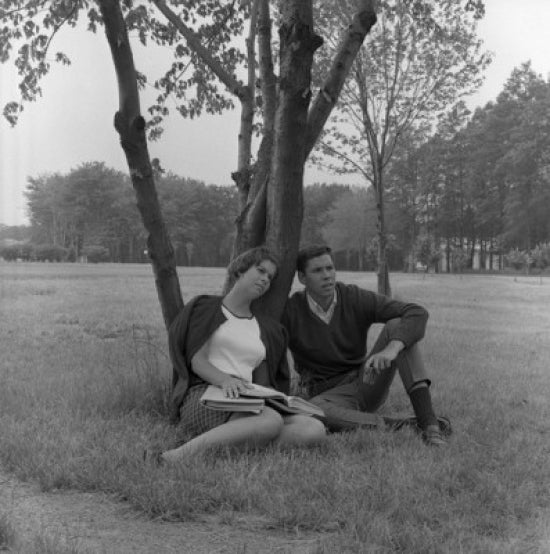 Young couple sitting under tree poster print, serene nature scene.
