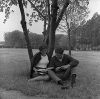 Young couple sitting under tree reading a book poster print.