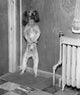 Dog Standing on Hind Legs Poster Print showcasing a playful dog