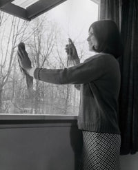 Poster print of a young woman cleaning a window, side profile view.