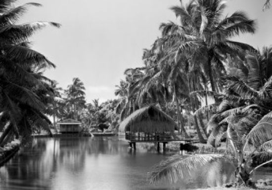 USA Hawaii Grass Hut Poster Print showcasing tropical beauty.