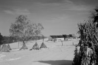 Winter on Farm Poster Print showcasing a serene Pennsylvania landscape in winter