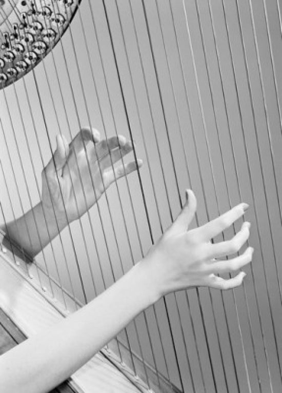 Hands Playing Harp Poster Print capturing the beauty of music.