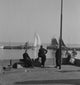 Holland Volendam Fishing Fleet Poster Print showcasing scenic beauty.