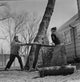 Two Men Sawing Tree in Backyard Poster Print