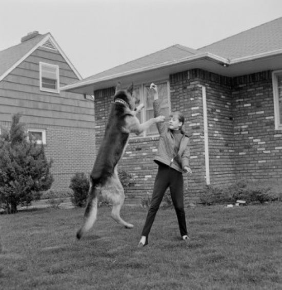 Poster print of a girl playing with her dog in the backyard.