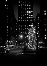 Christmas Decorations on Park Avenue Poster Print showcasing New York City festive decorations