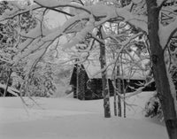 Cabin with heavy snow on tree branches poster print from New Hampshire.