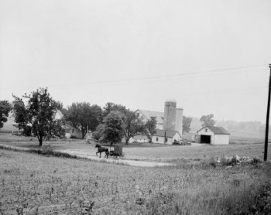 Martindale Amish Farm Country Poster Print showcasing serene rural landscape.