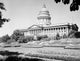 Utah State Capitol with flower gardens poster print showcasing architectural beauty.