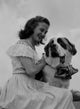 Young woman stroking a St. Bernard dog poster print.