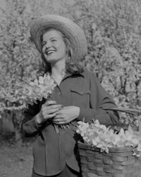 Young Woman with Daffodils Poster Print showcasing a serene young woman surrounded by vibrant daffodils.