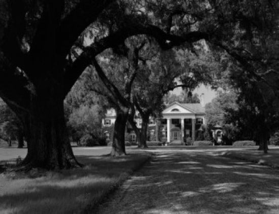 Bonnie Doone mansion poster print showcasing historic Southern architecture.