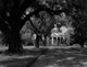 Bonnie Doone mansion poster print showcasing historic Southern architecture.