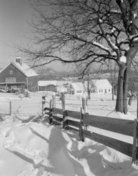 USA New Hampshire Lancaster farm buildings poster print with tree and plank fence.