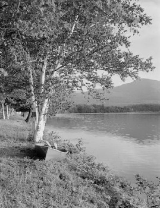 Androscoggin Lake with birches and boat on the bank poster print.