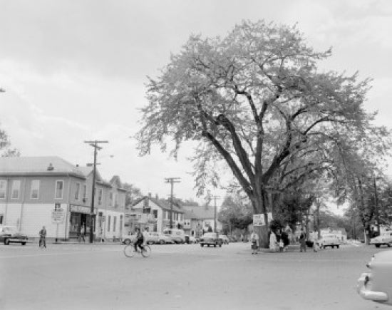 Northborough street scene poster print showcasing Massachusetts architecture.
