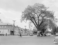Northborough street scene poster print showcasing Massachusetts architecture.