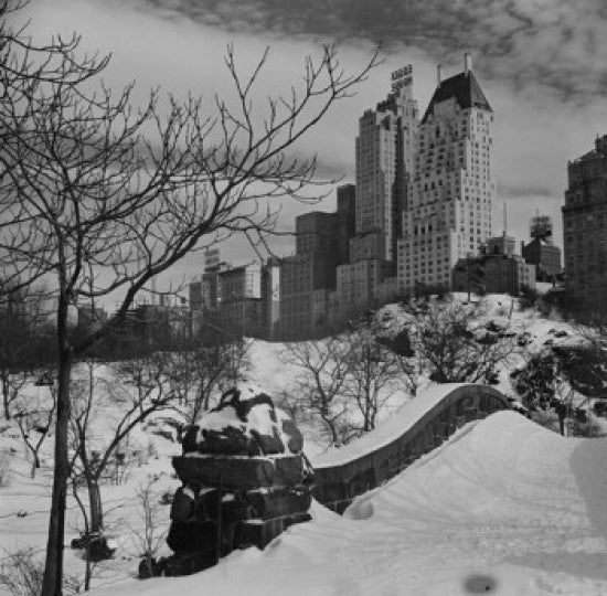 Central Park winter poster print showcasing a snow-covered scene in New York City.