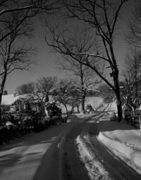 Rural Scene in Winter Poster Print showcasing a serene winter landscape.