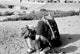 Camel Sitting on Sand in Giza Art Print
