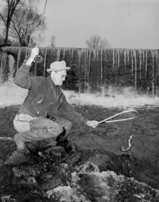 Mature Man Fishing Poster Print depicting serene outdoor scene.